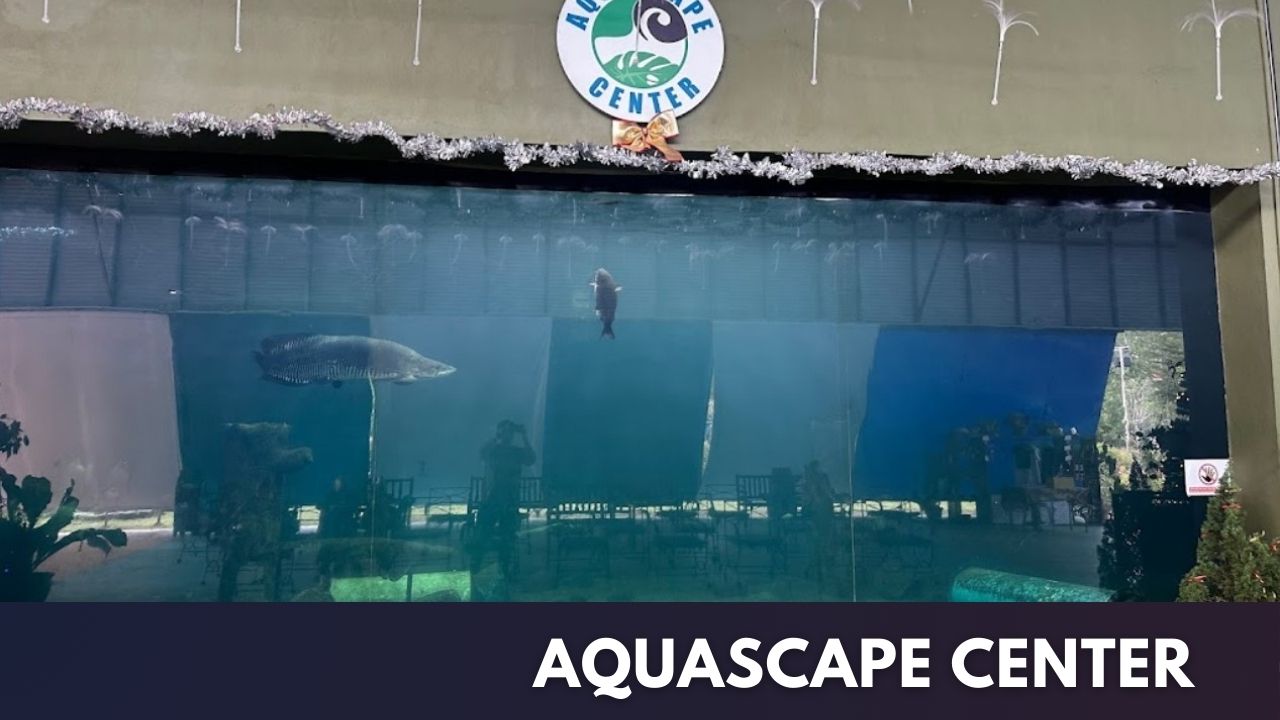 Aquascape Center Cover