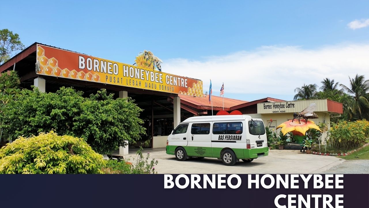 Borneo Honeybee Centre Cover