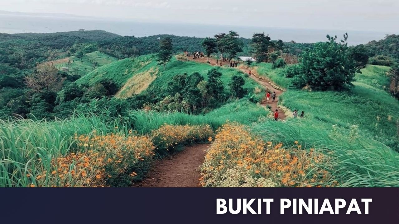 Bukit Piniapat Cover