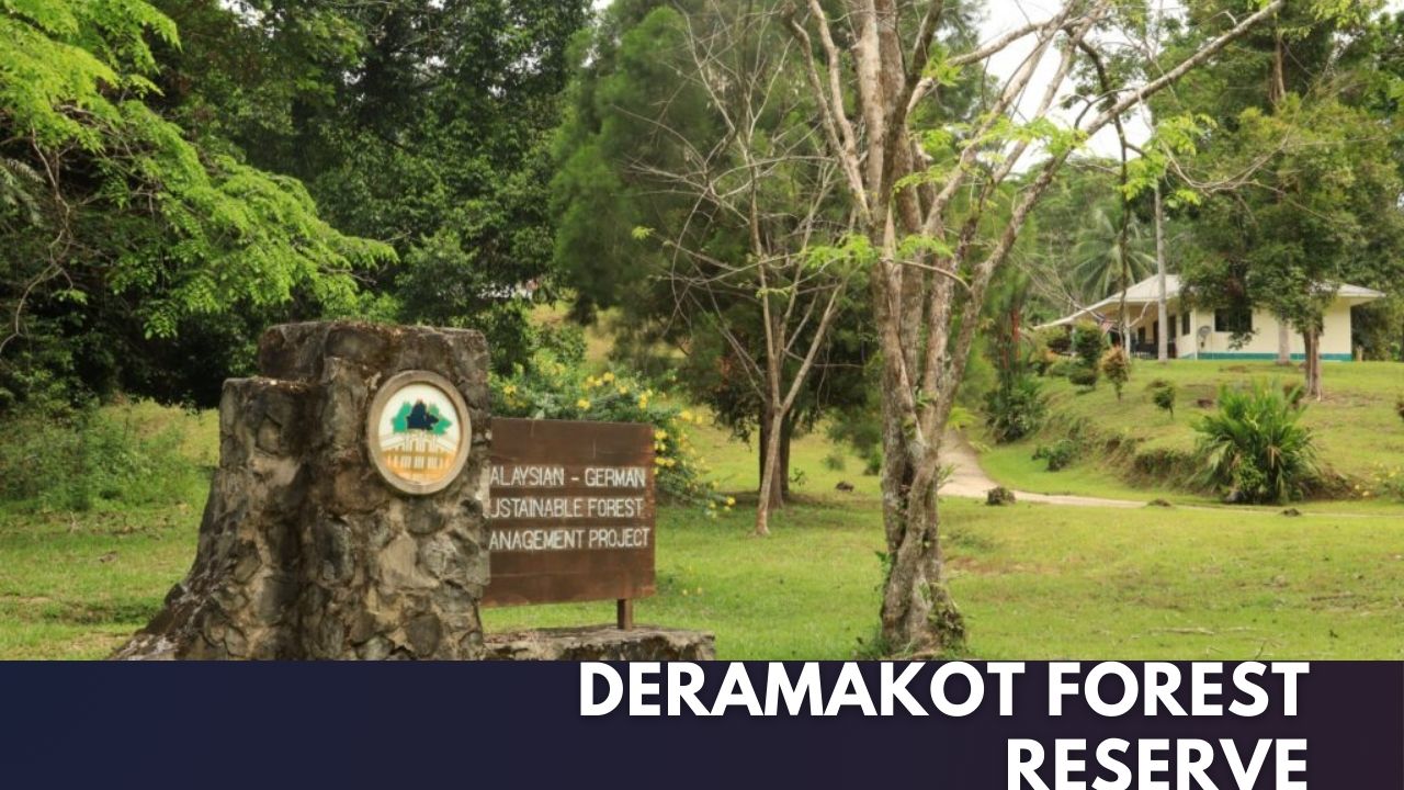 Deramakot Forest Reserve Cover