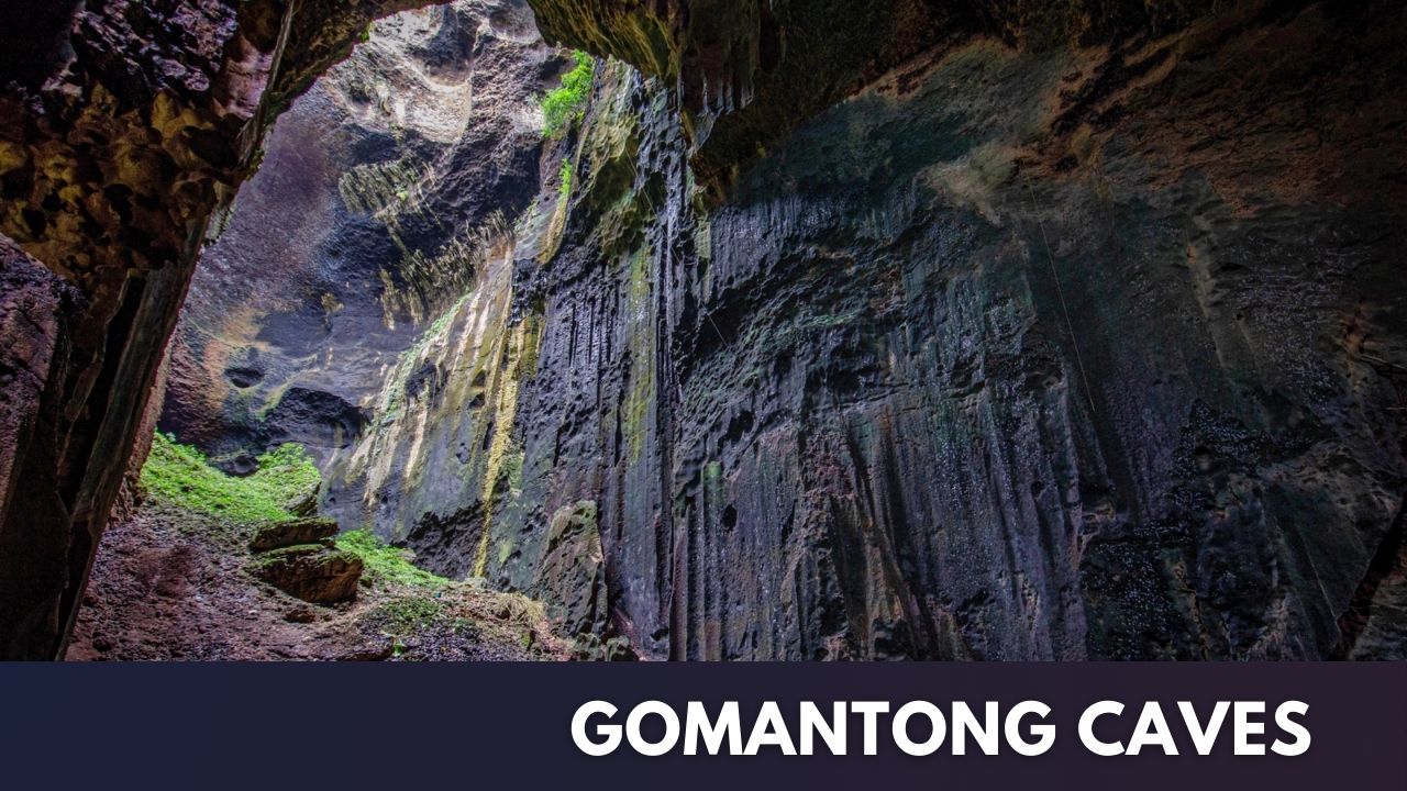 Gomantong Caves Cover