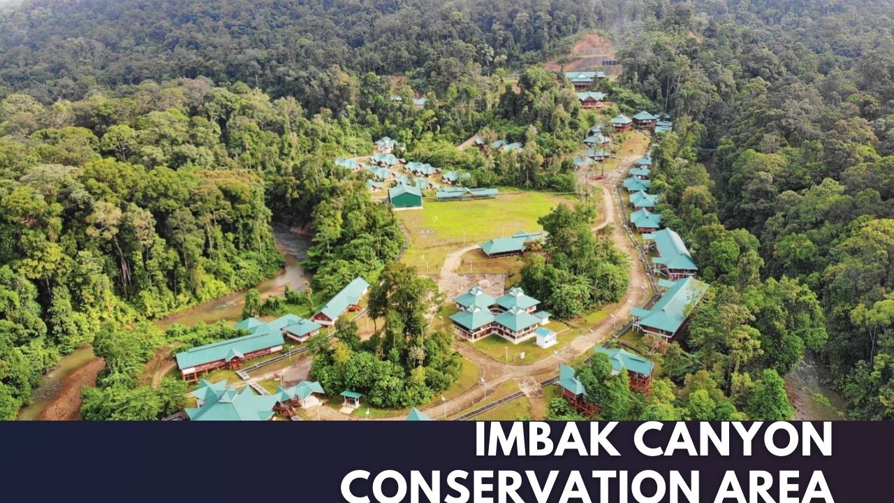 Imbak Canyon Conservation Area Cover