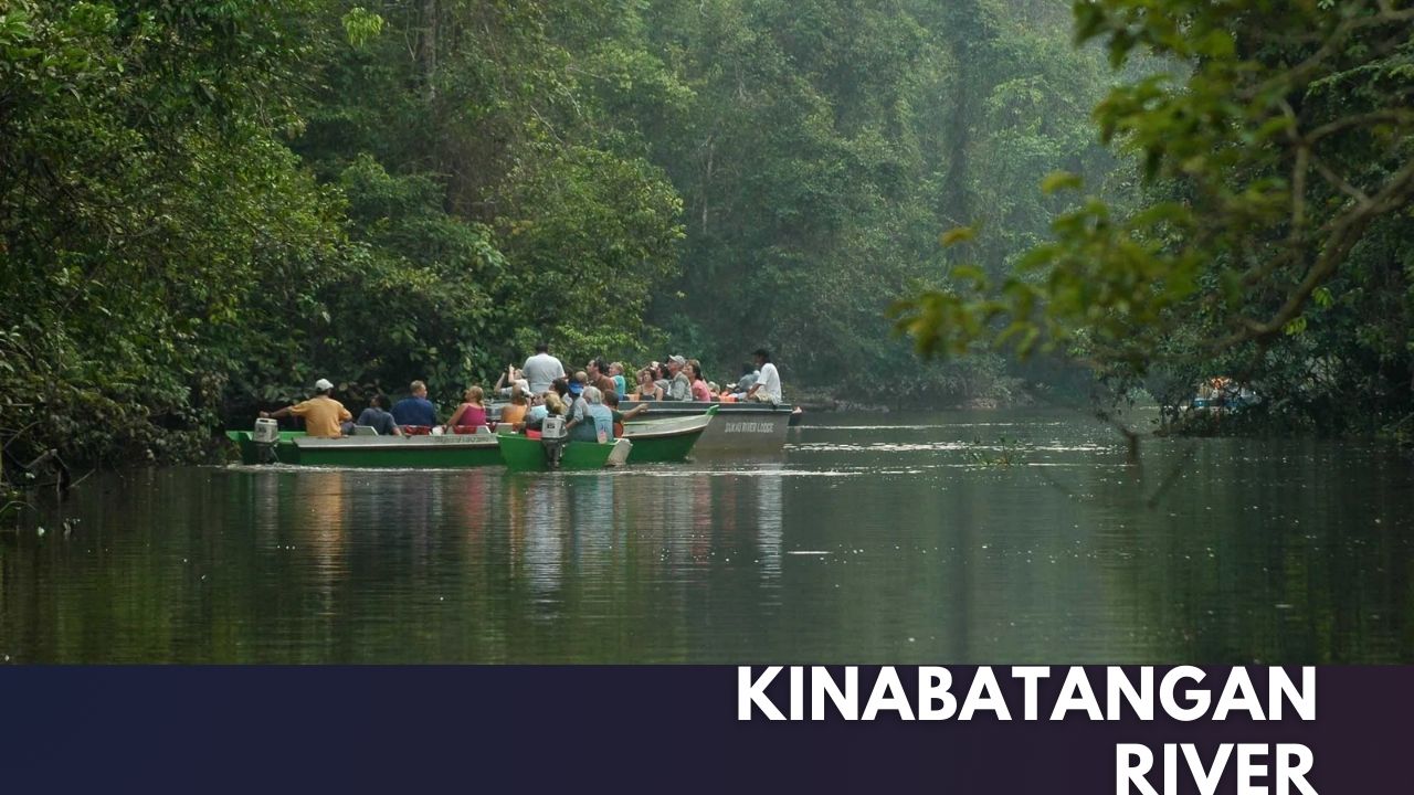 Kinabatangan River Cover