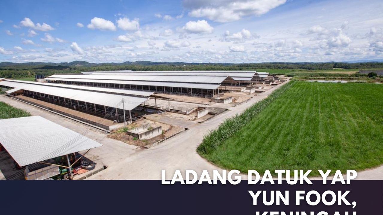 Ladang Datuk Yap Yun Fook, Keningau Cover