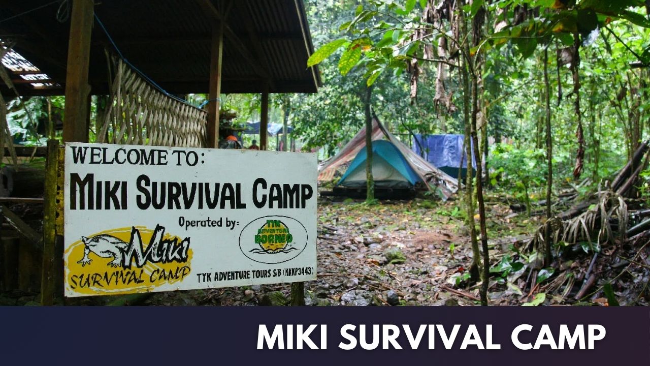 Miki Survival Camp Cover