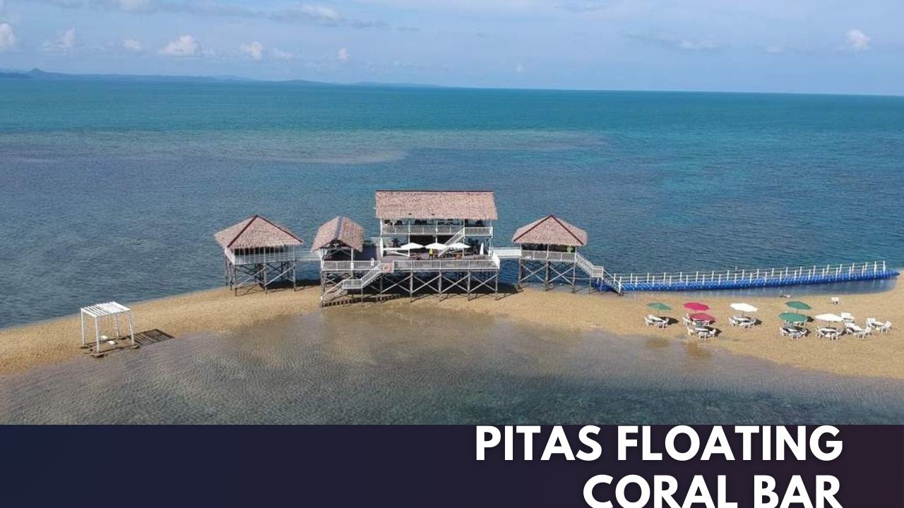 Pitas Floating Coral Bar Cover