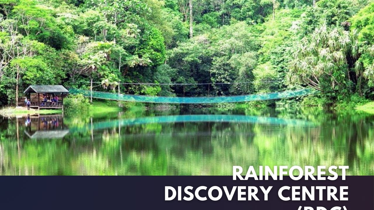 Rainforest Discovery Centre (RDC) Cover