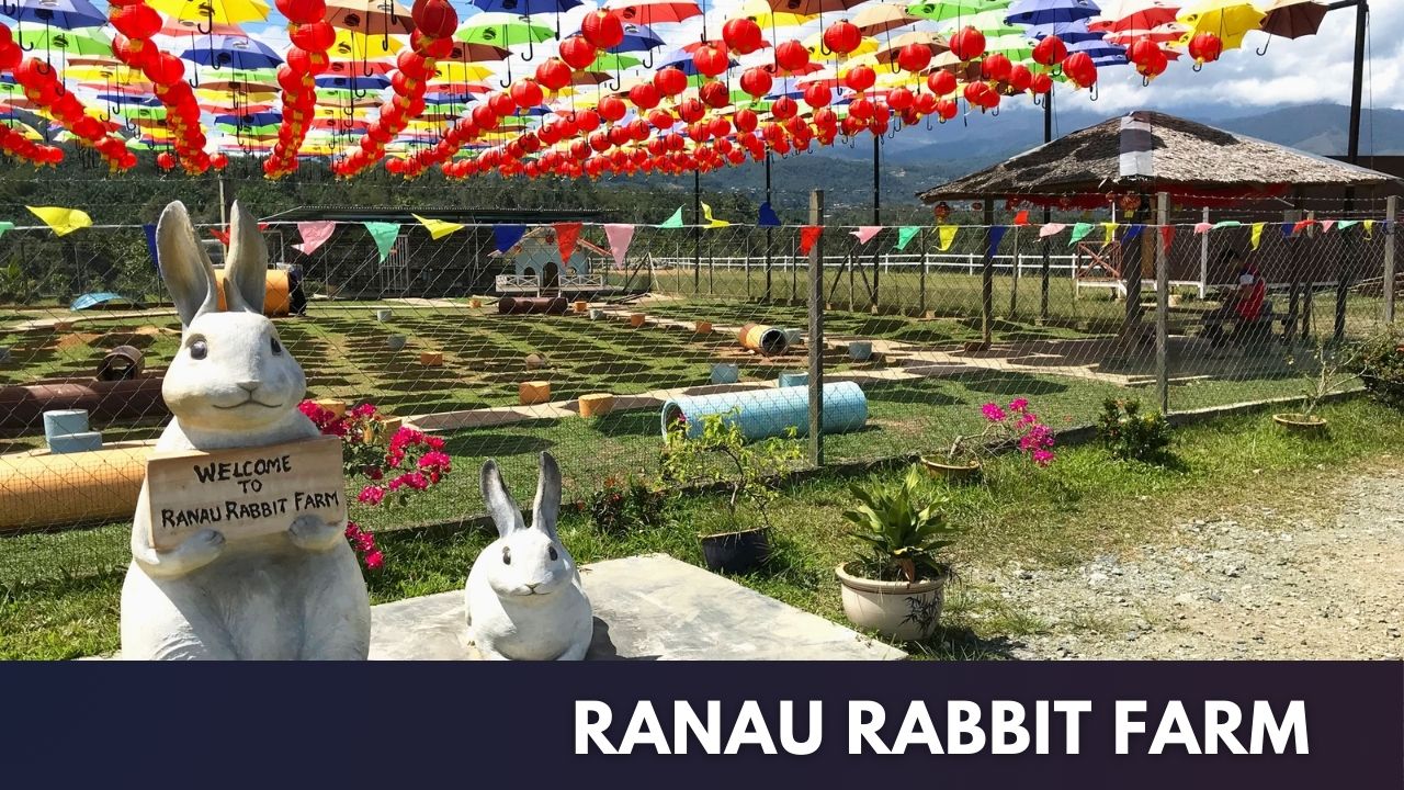 Ranau Rabbit Farm Cover