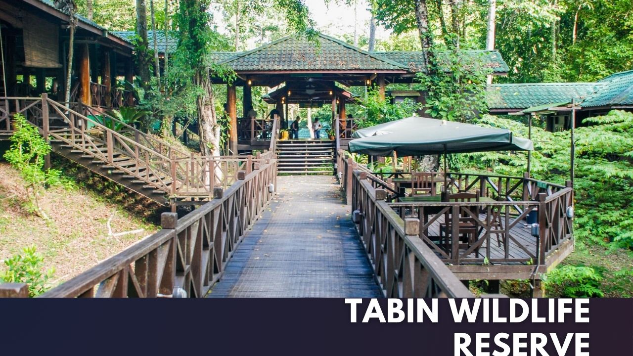 Tabin Wildlife Reserve Cover