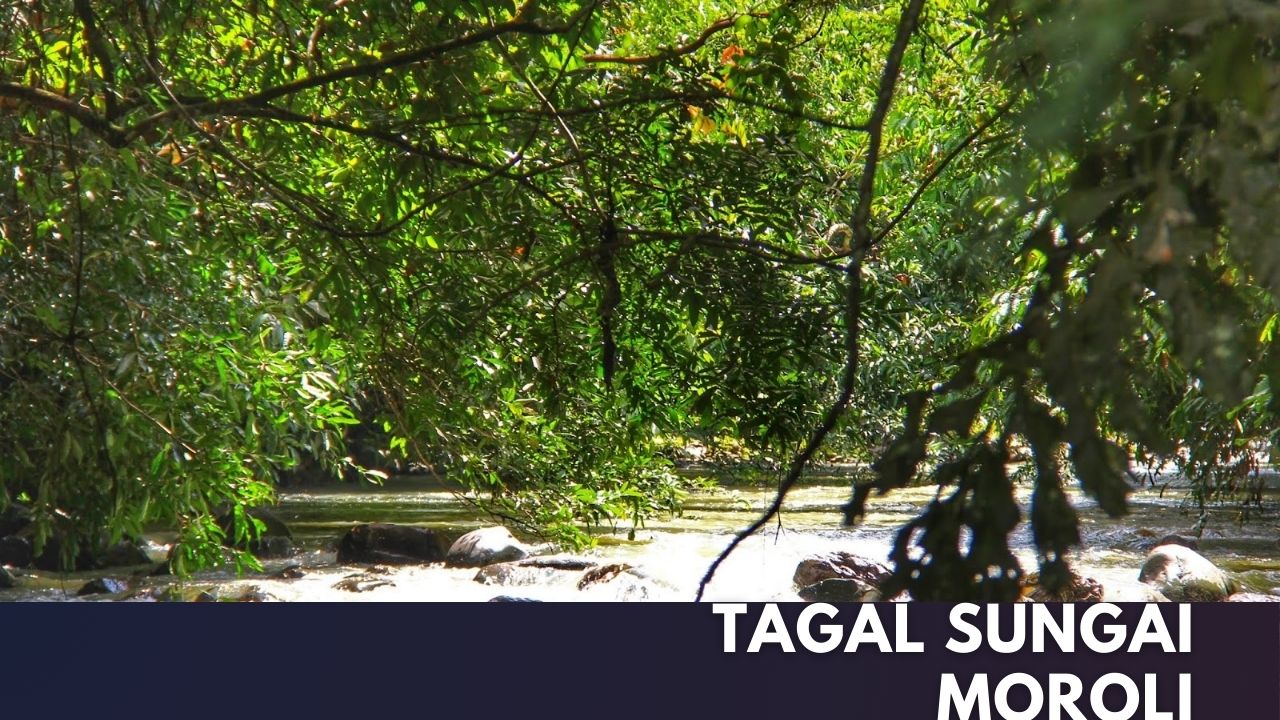 Tagal Sungai Moroli Cover