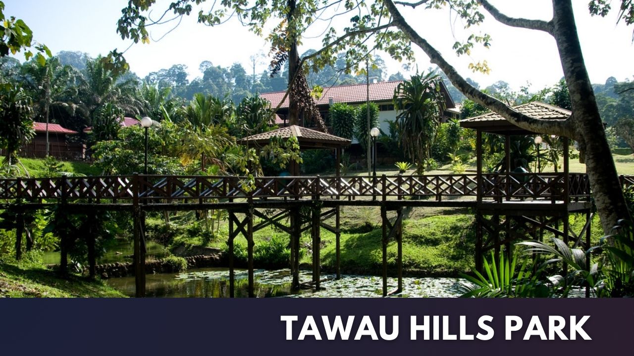 Tawau Hills Park Cover