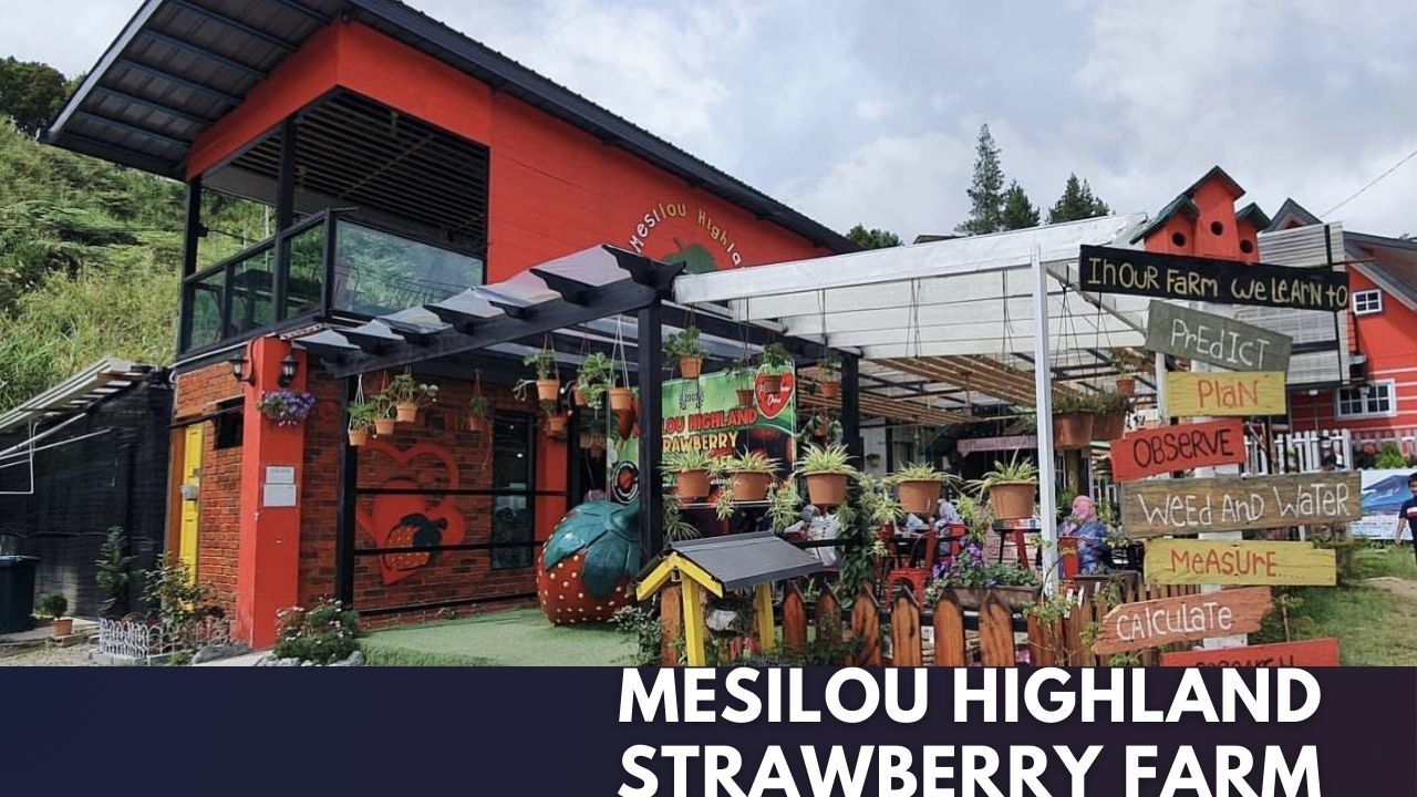 Mesilou Highland Strawberry Farm Cover